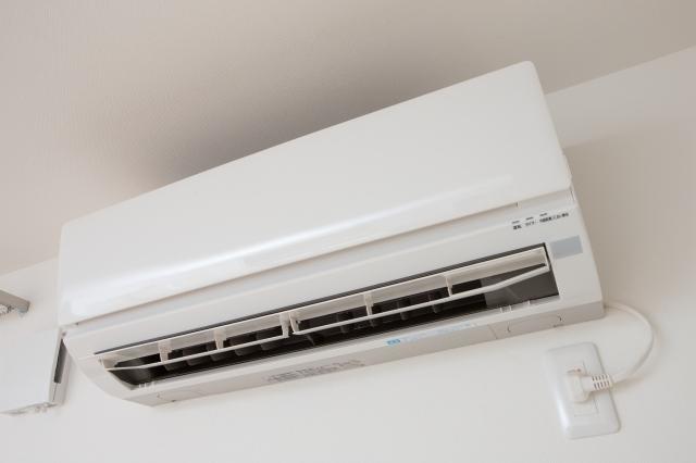 3991-l-image.jpg