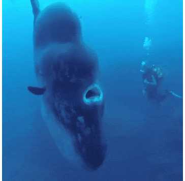 M8b4Uh4.gif