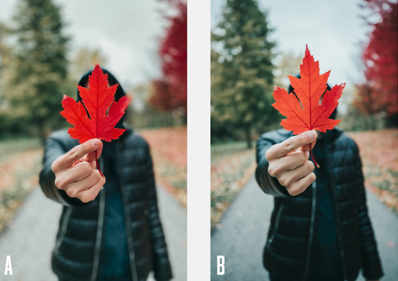 SS_1-44_iPhone-11-Pro-VS-7500-Pro-DSLR-Camera1.png