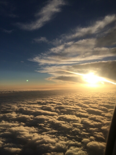 o0480064013086068943