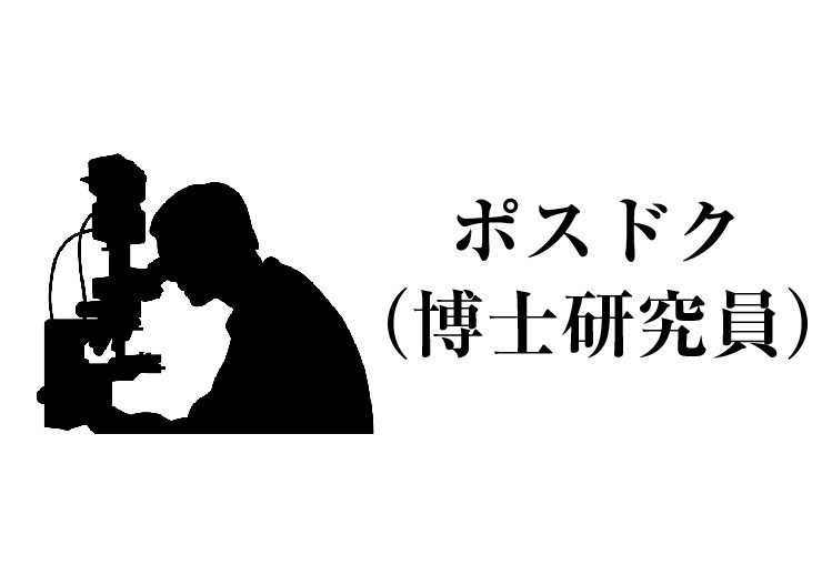 img2_possudoku.jpg