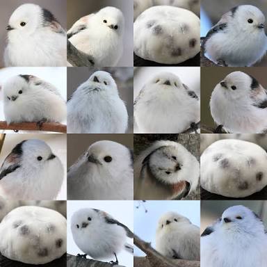 oGnzd8Z.jpg